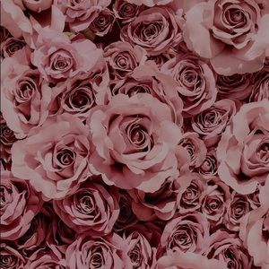 Meet your Posher, Yanelly